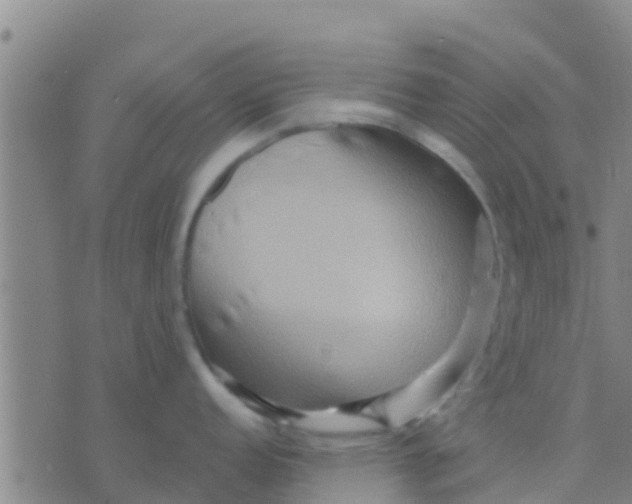 X0000075831152200610061815