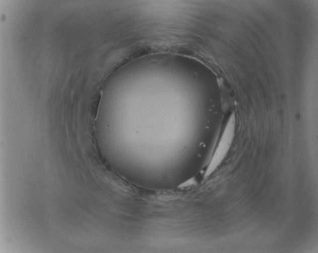 X0000075831153200610061815