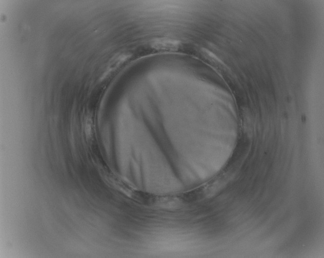 X0000075831154200610061815