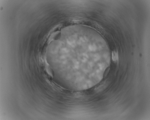 X0000075831155200610061815