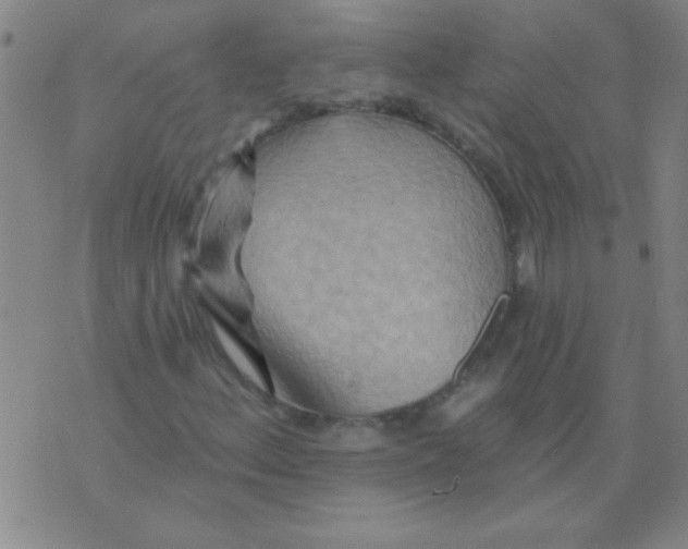 X0000075831156200610061815