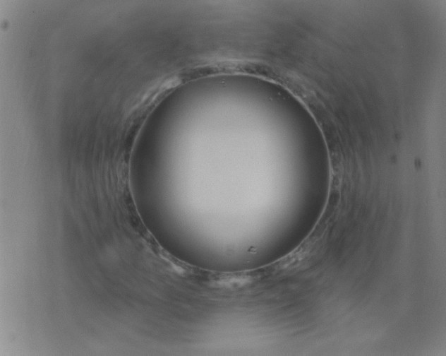 X0000075831157200610061815