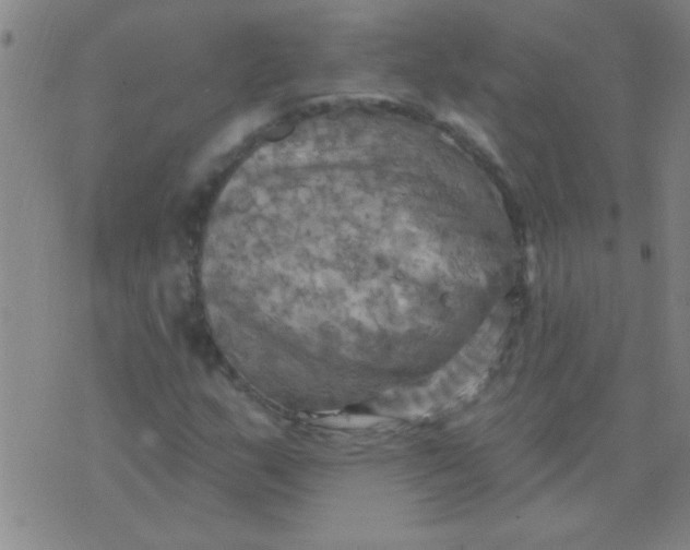 X0000075831159200610061815