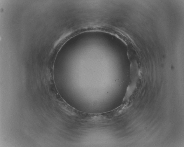 X0000075831160200610061815