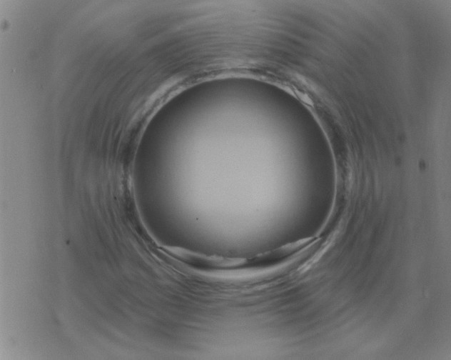 X0000075831161200610061815