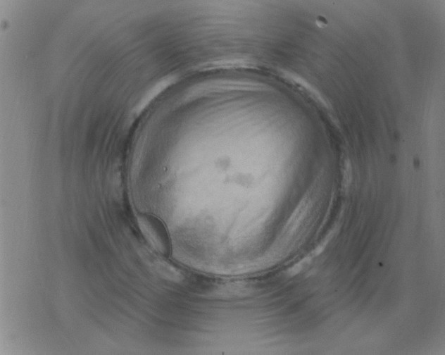 X0000075831162200610061814