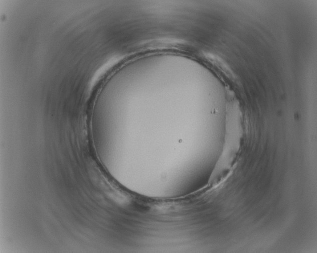 X0000075831164200610061814