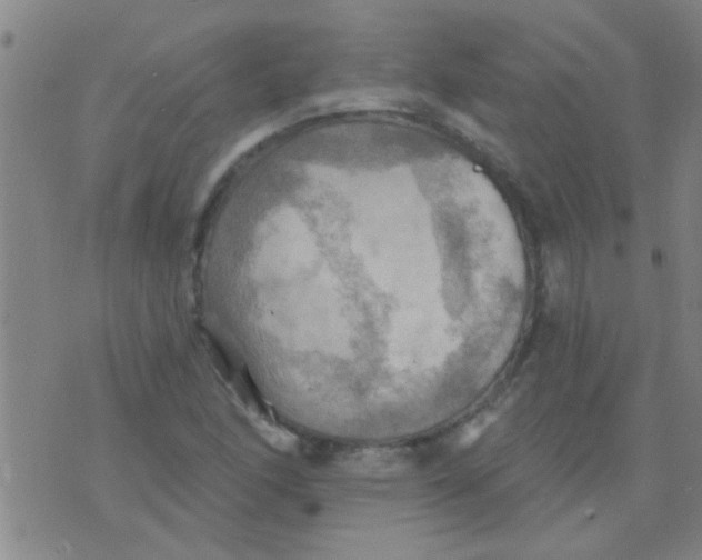 X0000075831166200610061814