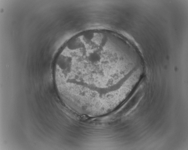 X0000075831167200610061814