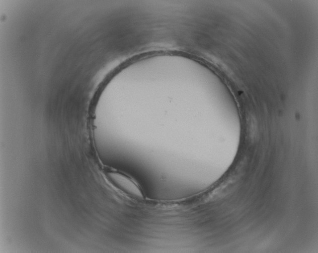 X0000075831168200610061814