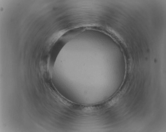 X0000075831169200610061814