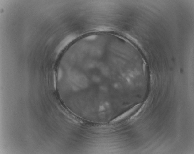 X0000075831171200610061814