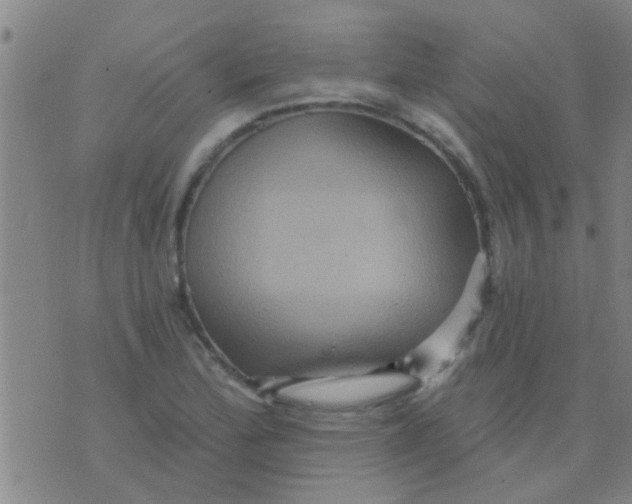 X0000075831172200610061814