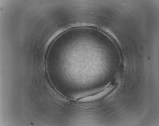 X0000075831173200610061814