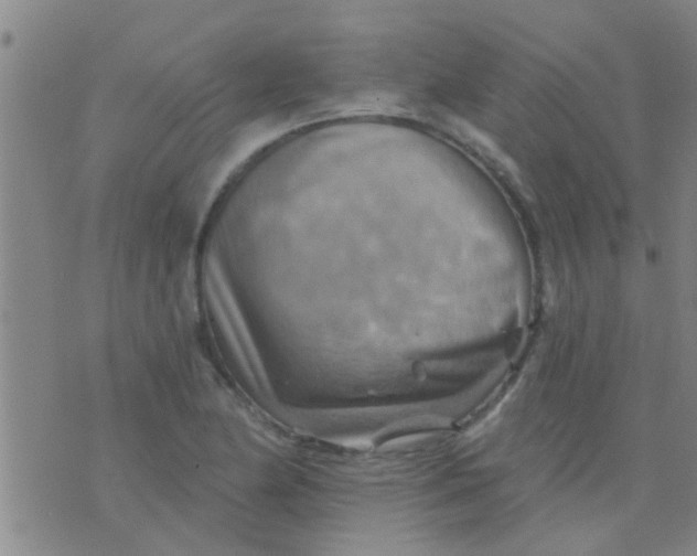 X0000075831174200610061814