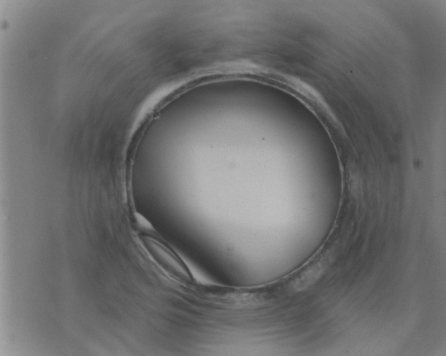 X0000075831176200610061814