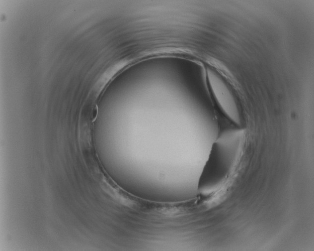 X0000075831177200610061814