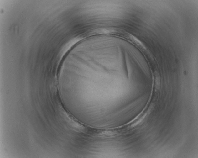 X0000075831178200610061814