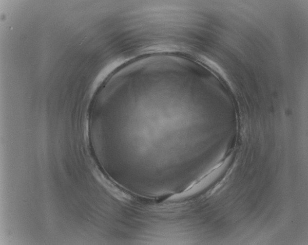 X0000075831179200610061814