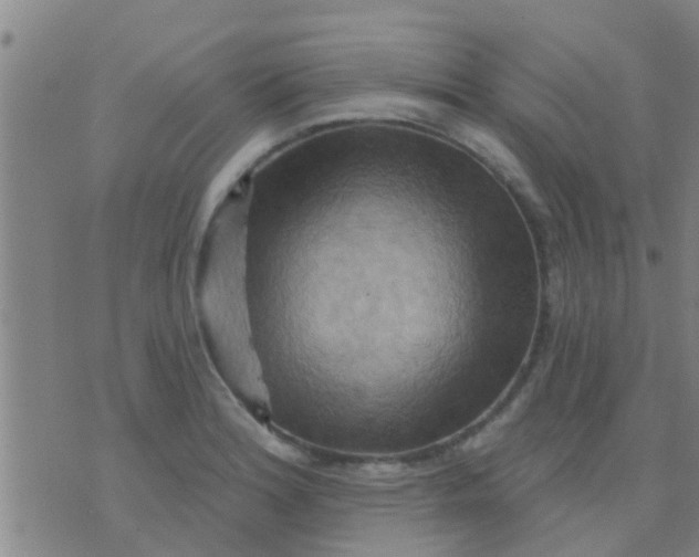 X0000075831180200610061814