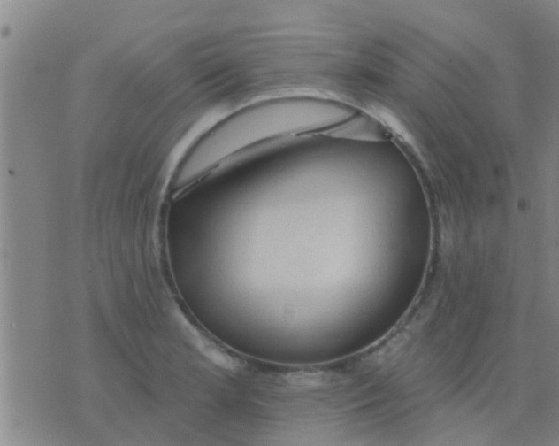 X0000075831181200610061814