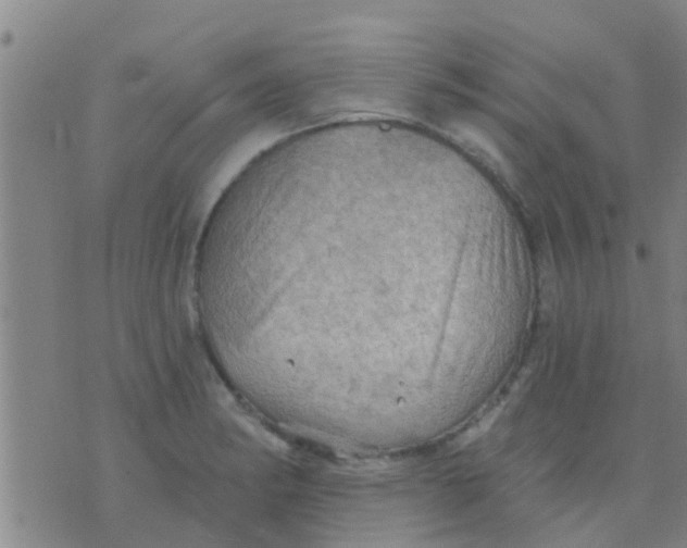 X0000075831182200610061814