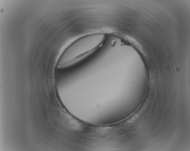 X0000075831184200610061814