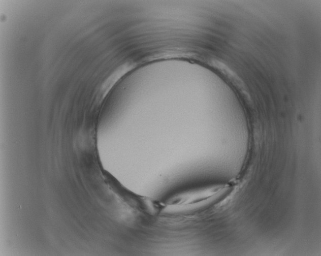 X0000075831185200610061814