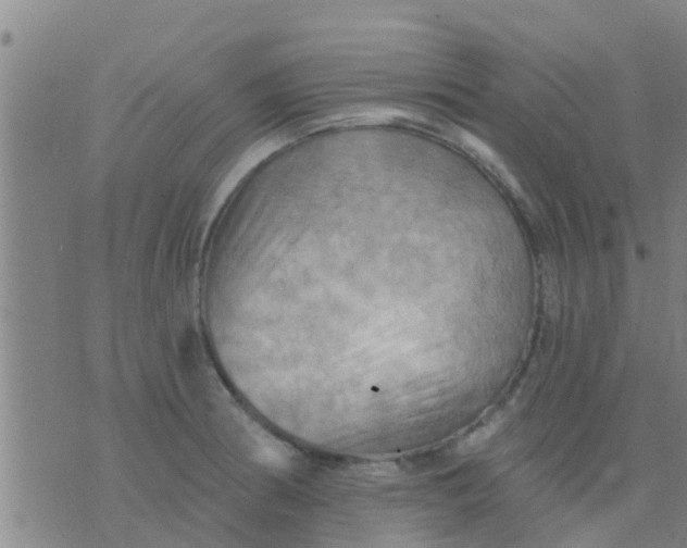 X0000075831186200610061814