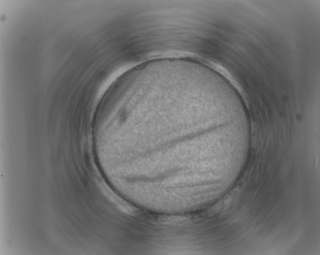 X0000075831187200610061814