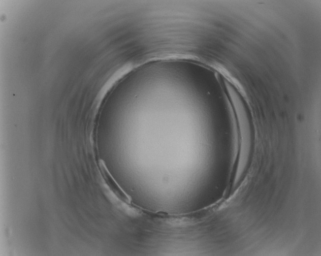 X0000075831189200610061814