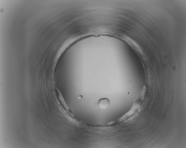 X0000075831192200610061814