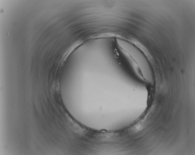 X0000075831193200610061814