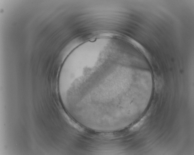 X0000075831194200610061814