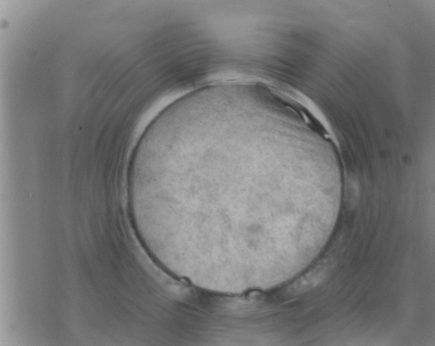 X0000075831195200610061814