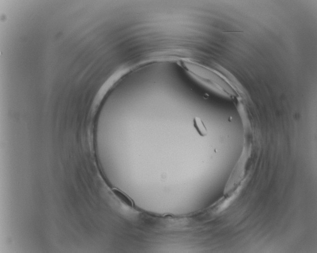 X0000075831196200610061814