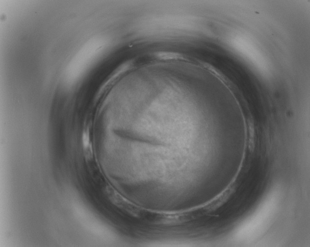 X0000075831198200610061814