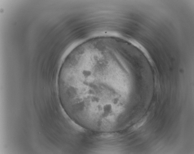 X0000075831199200610061814