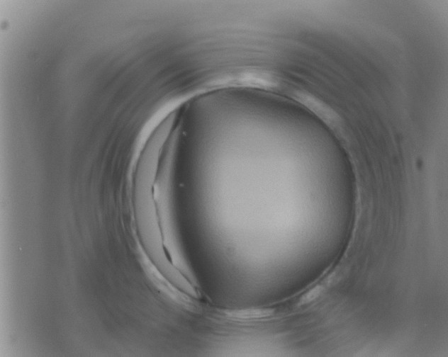 X0000075831200200610061814