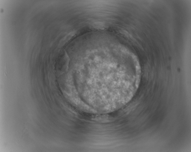 X0000075831201200610061813