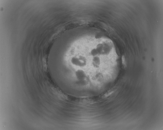 X0000075831203200610061813