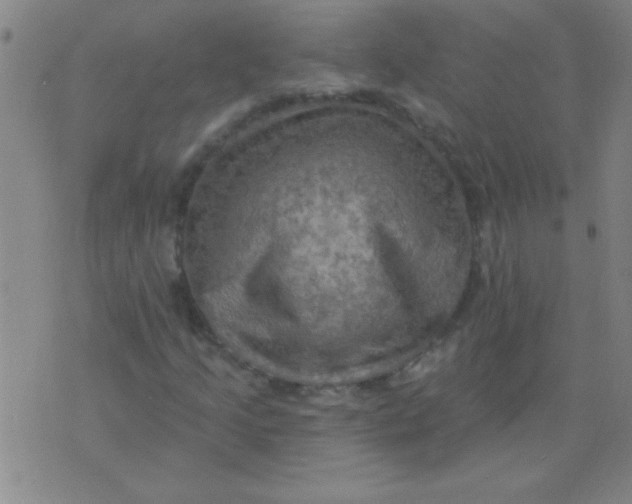 X0000075831205200610061813