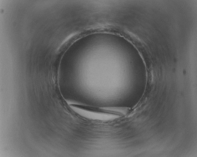 X0000075831206200610061813