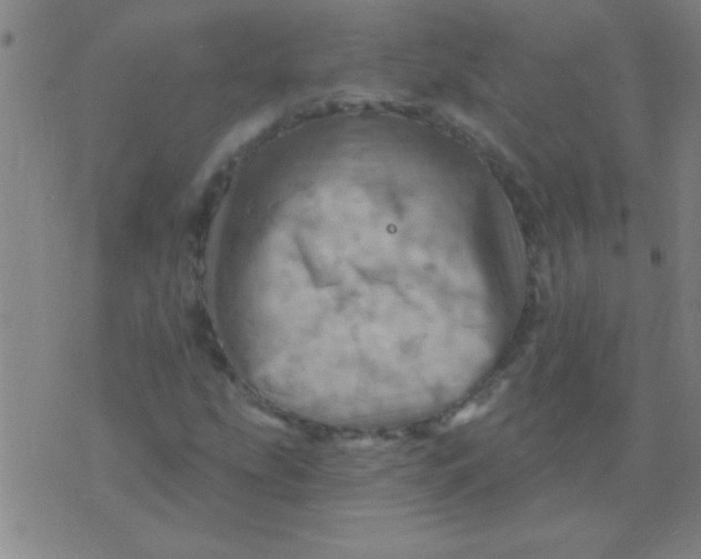 X0000075831207200610061813