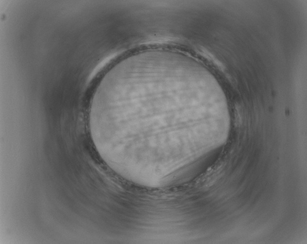 X0000075831208200610061813