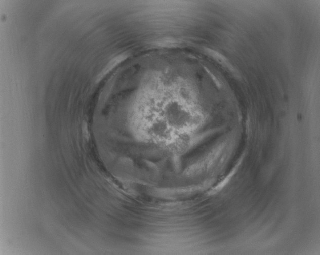 X0000075831209200610061813