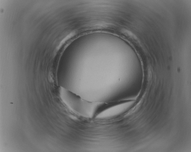 X0000075831210200610061813