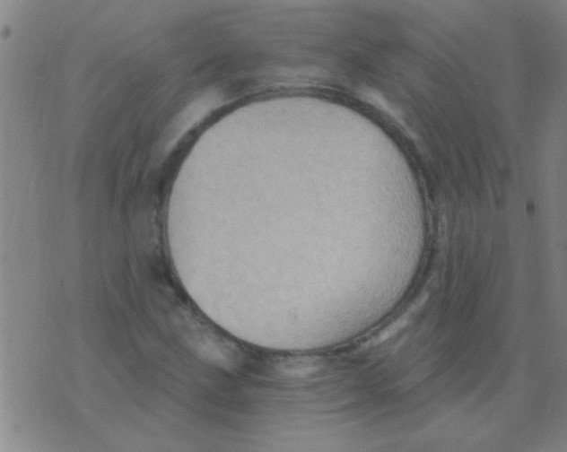 X0000075831211200610061813