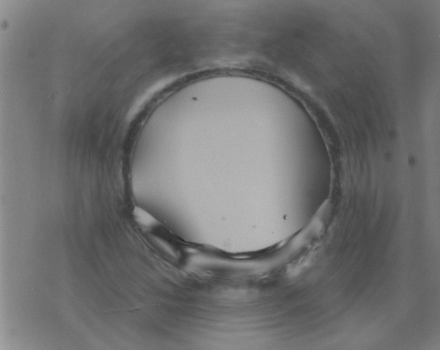 X0000075831214200610061813