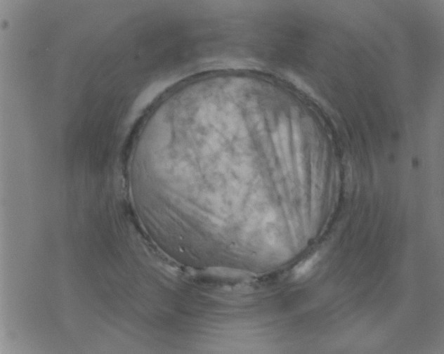 X0000075831215200610061813